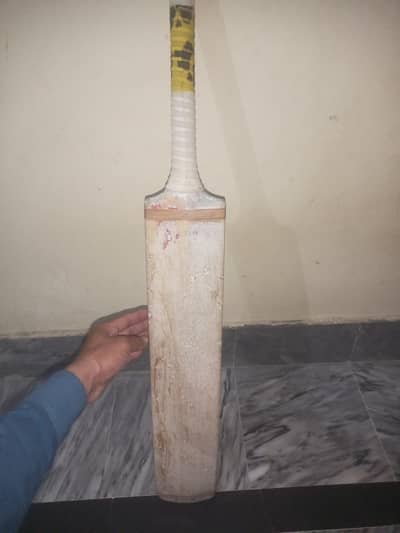 coconut albezya wood