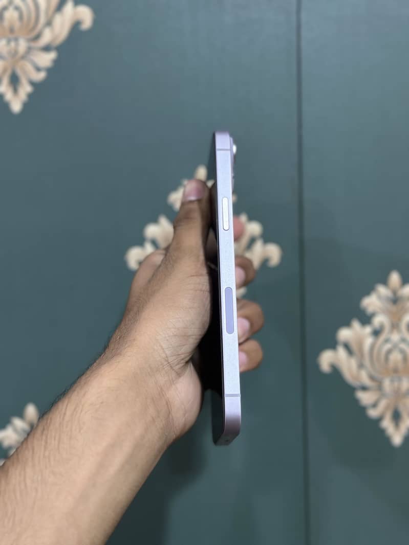 Ip 14 plus 10