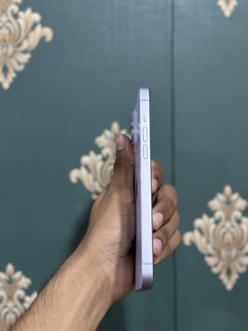 Ip 14 plus 13