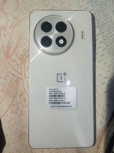 One Plus 13R