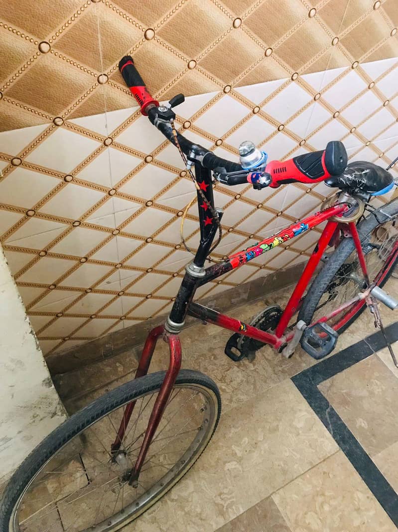 phoenix cycle 5