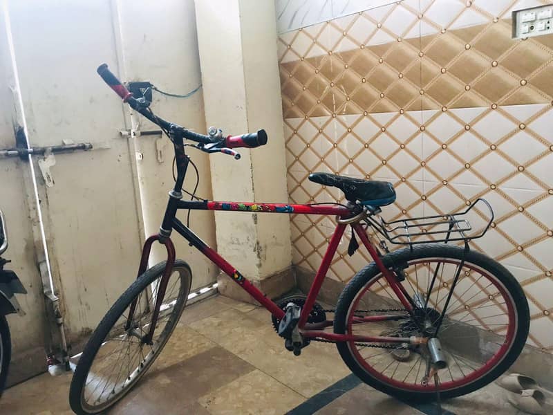 phoenix cycle 10
