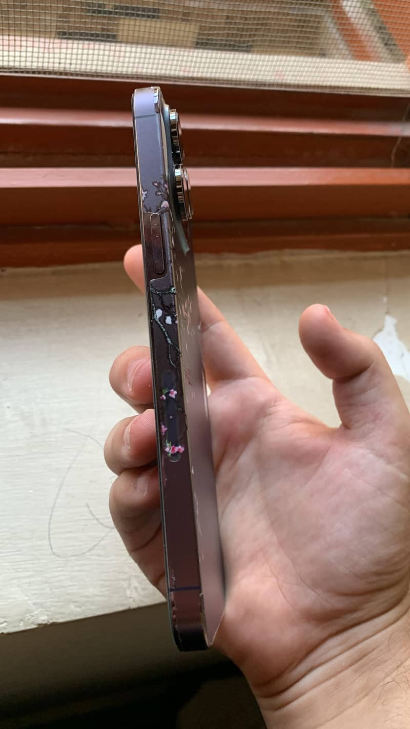 iPhone 14 Pro Max 1