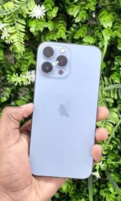 Apple iPhone 13 Pro Max
