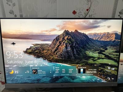 HP Borderless 24 inch LCD with Cables