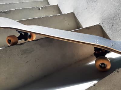 Skate Board