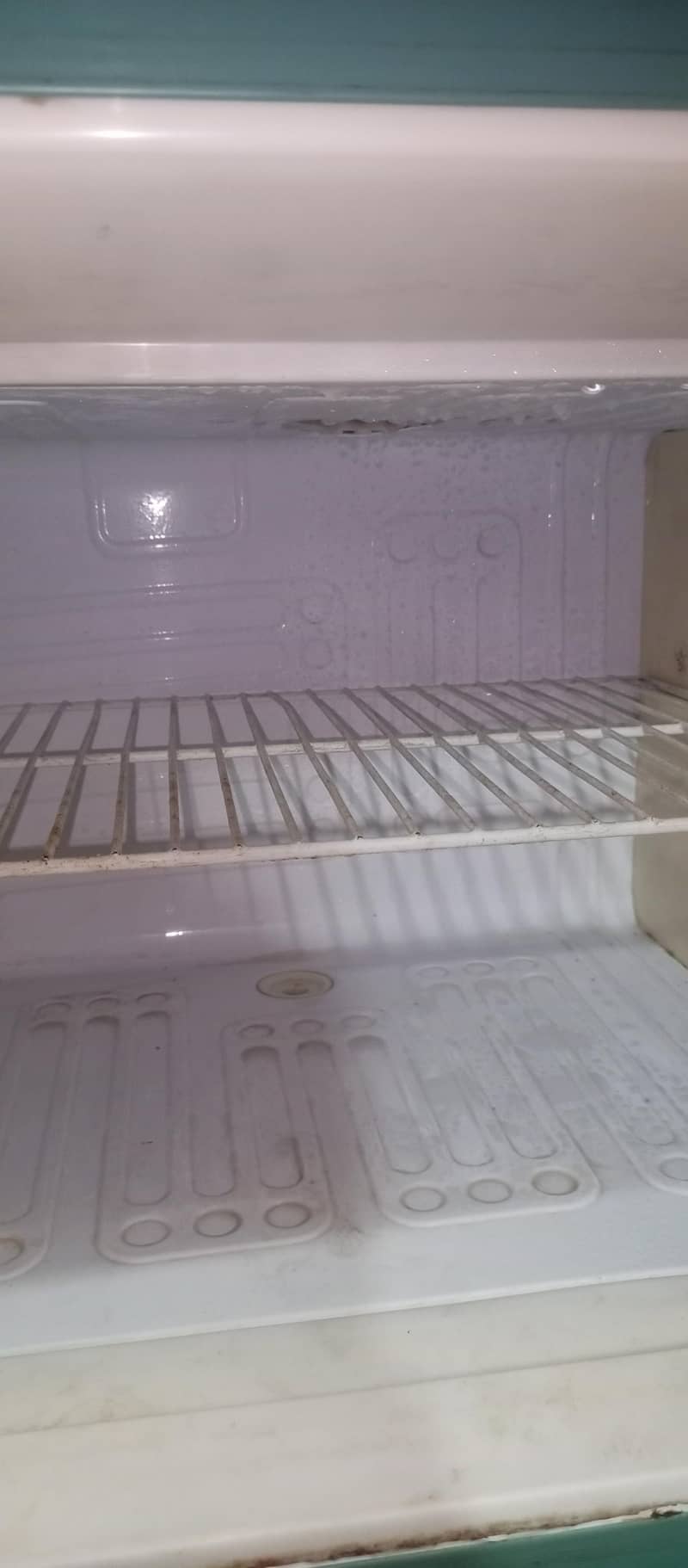 WAVES FRIDGE 1