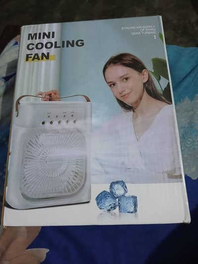 Mini cooling fan
