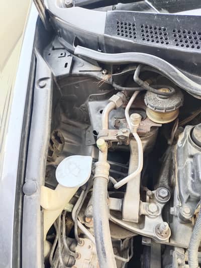 Honda Civic Prosmetic 2009