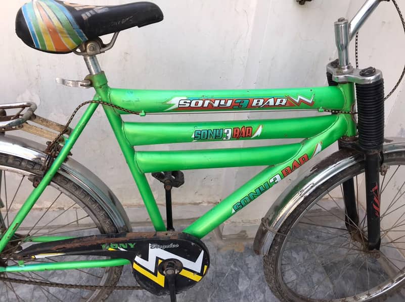 large size bicycle 2