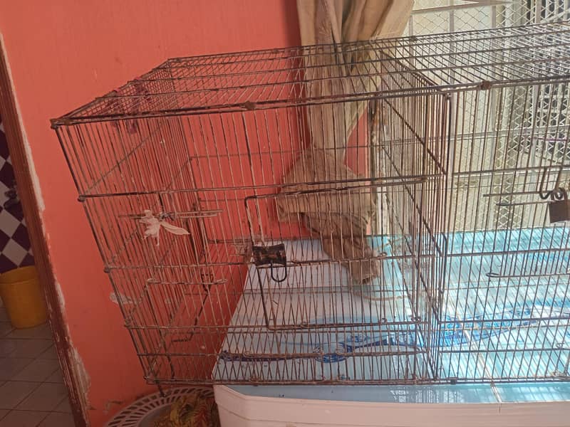 2 portion  cage 0