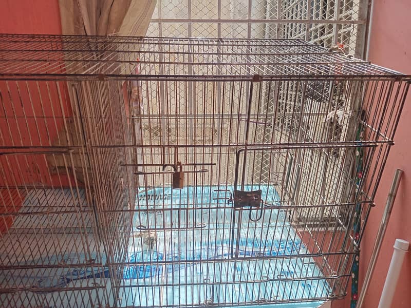 2 portion  cage 1