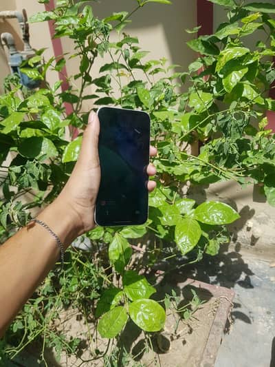 I phone 14 plus