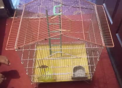 parrot cage