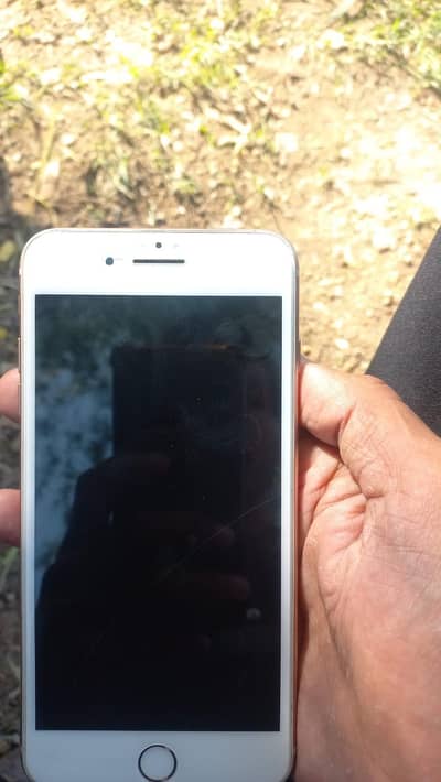 I phone 8 plus