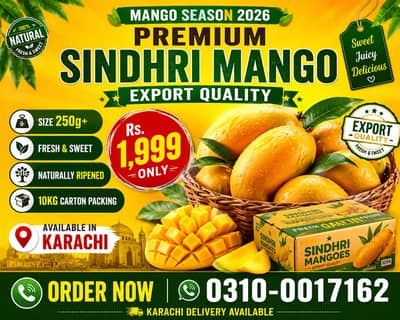  Premium Sindhri Mango – Export Quality 