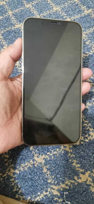 Apple iPhone 12 Pro Max 256 Hk model