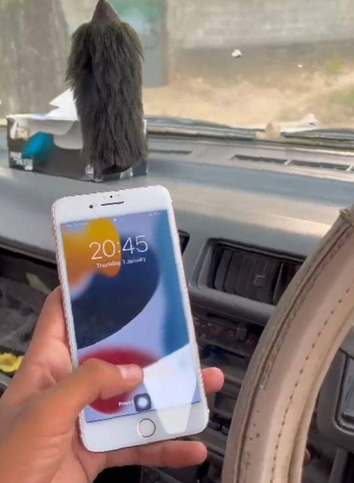 Apple iPhone 7 Plus 0