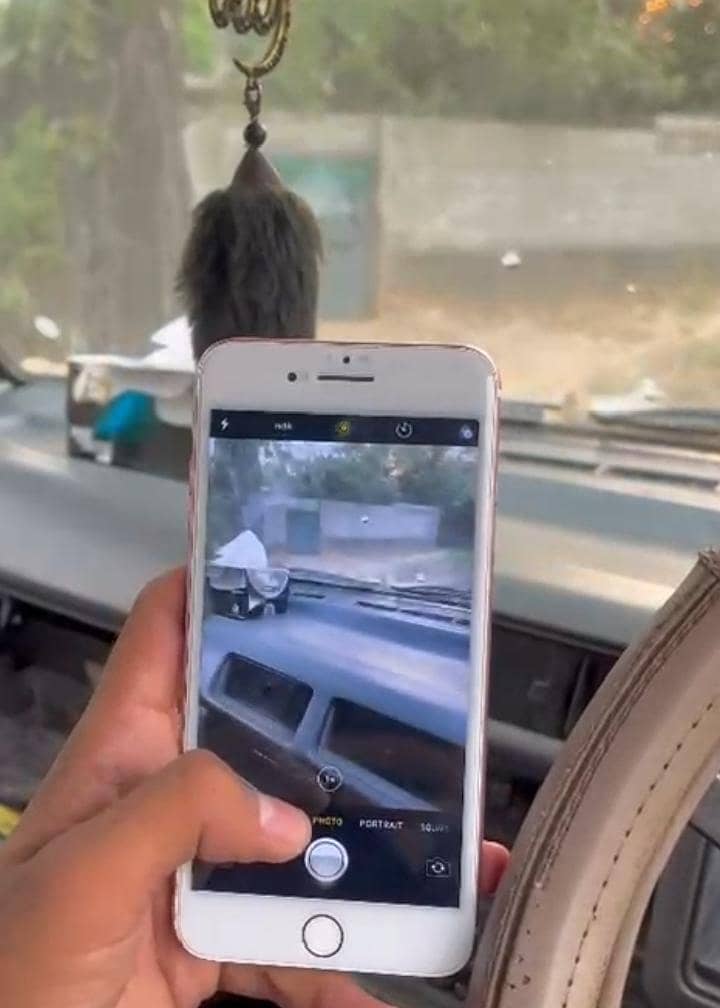 Apple iPhone 7 Plus 1