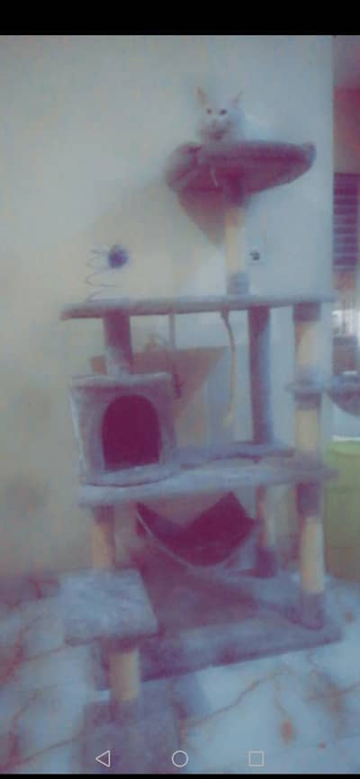 Used Wooden Cat House for Sale – Good Condition