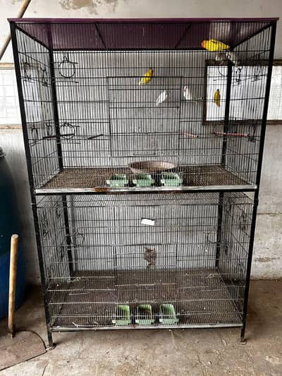 Bird cage