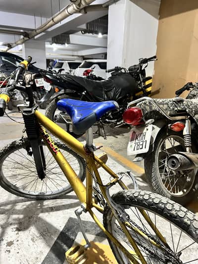 Golden color good condition new tires new tubes smooth ride new seat