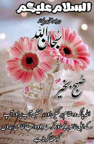Wasif Ali