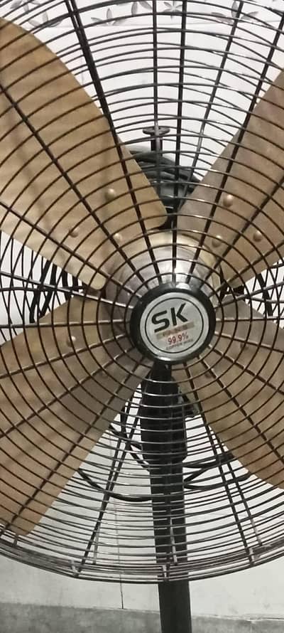 SK fans