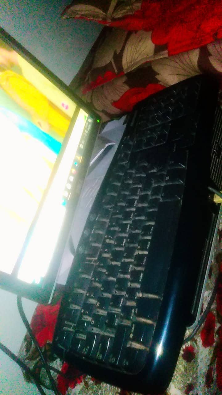 Manii 1