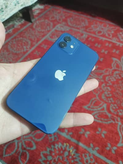 iPhone 12