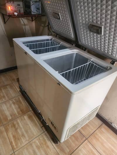 Pel deep freezer and Fridge