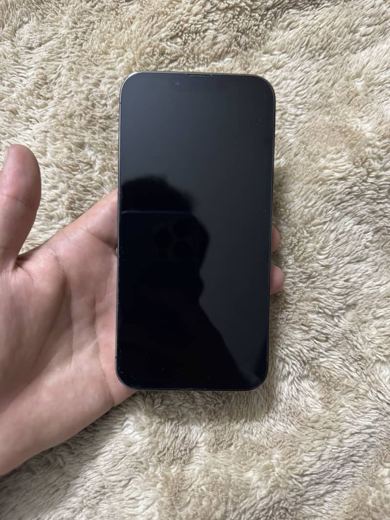 Apple iPhone 13 Pro 1