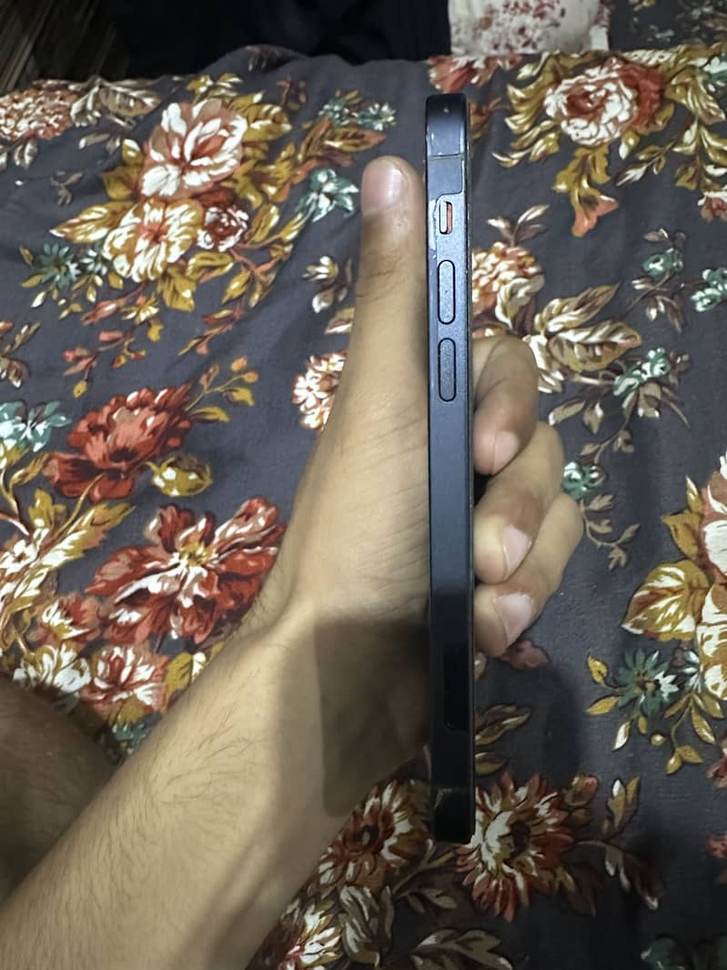 Apple iPhone 12 0