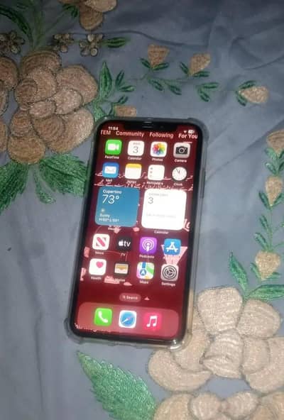 Apple iPhone X