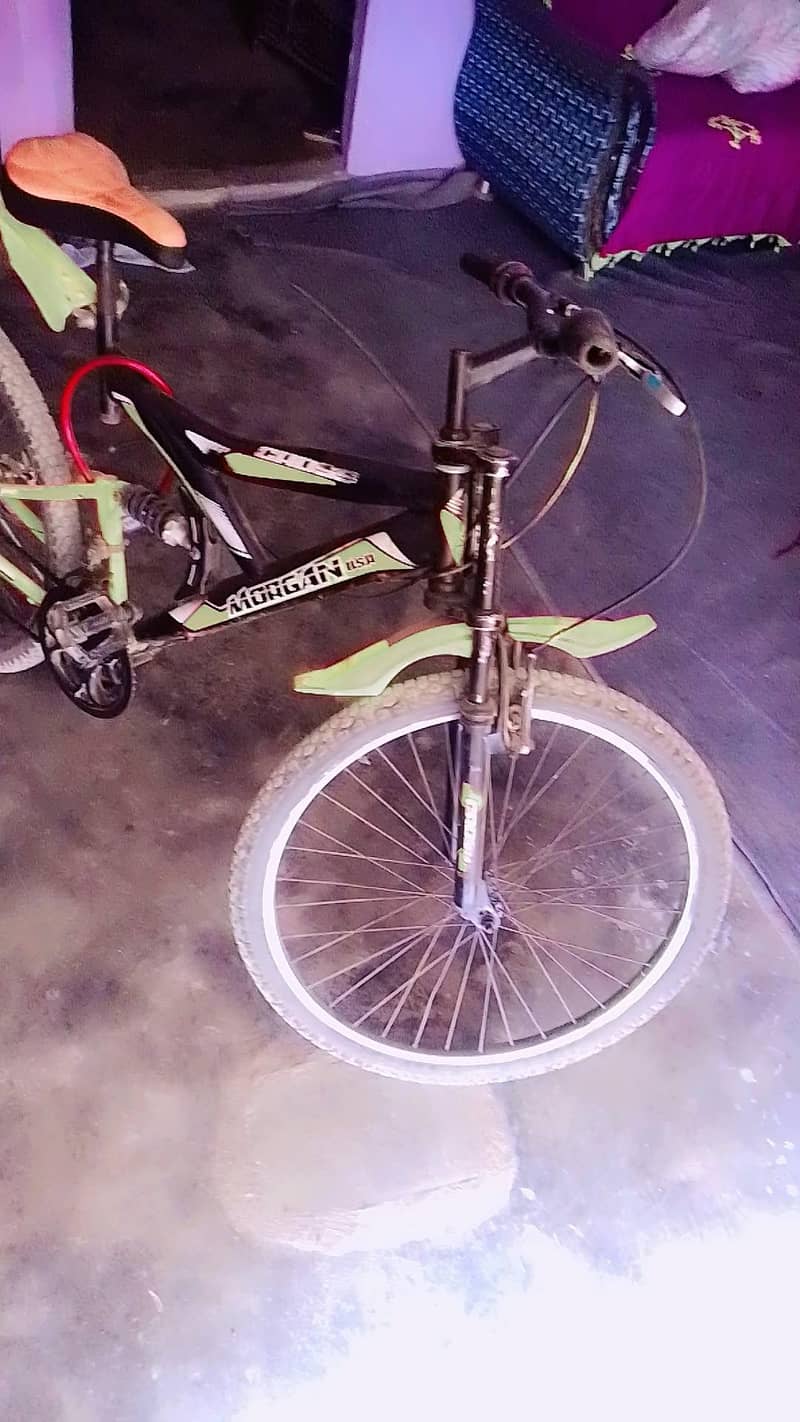 Morgan Cycle 2