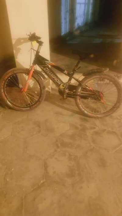 champion bicycle