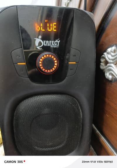 Perfect Speaker