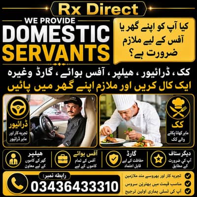 We are providing all kinds of domestic staff
