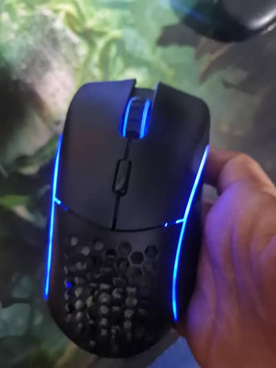 Glorious Model D Mouse ( wireless + wired )