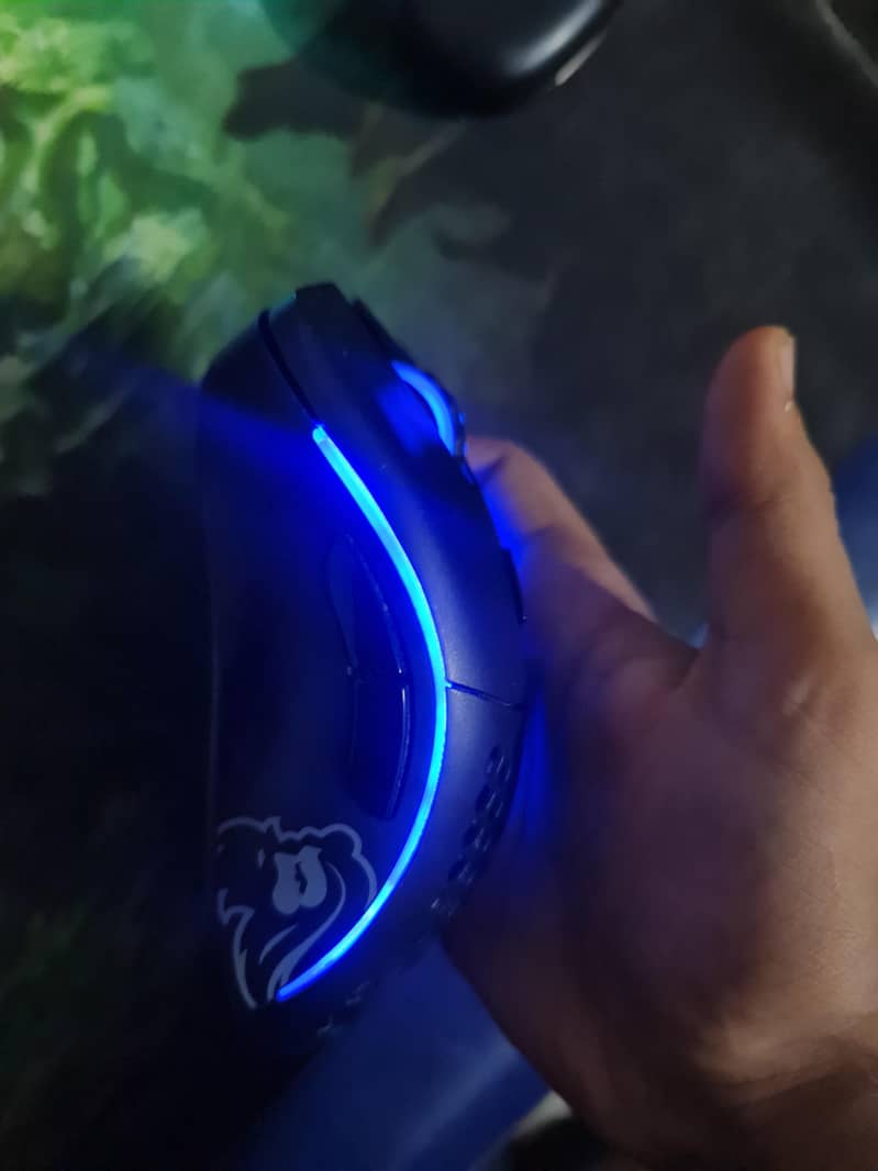 Glorious Model D Mouse ( wireless + wired ) 1