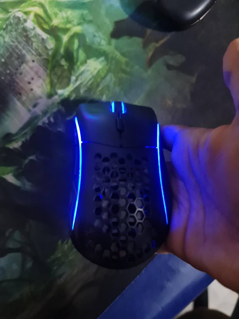 Glorious Model D Mouse ( wireless + wired ) 3