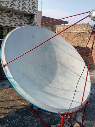 6 feet shabbir single piece dish neat and clean