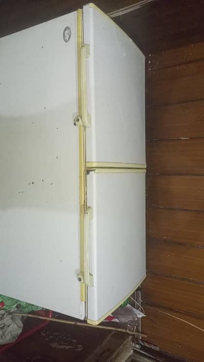 Waves Deep Freezer