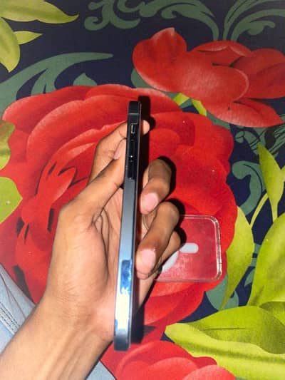 Apple iPhone 12 Pro