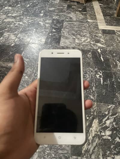 Vivo y66