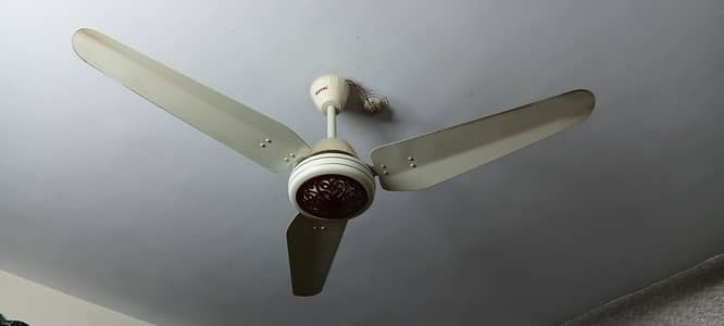 Royal Ac/Dc fan