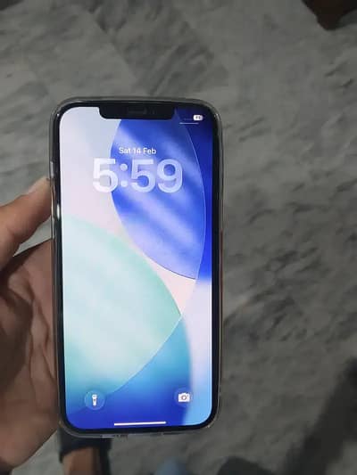 Apple iPhone 12 Pro Max