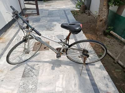 Japanese Hybrid Bike