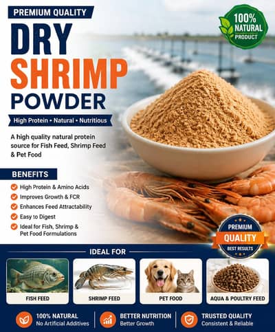 Dry Shrimp Powder