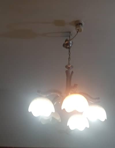 Chandelier for sale